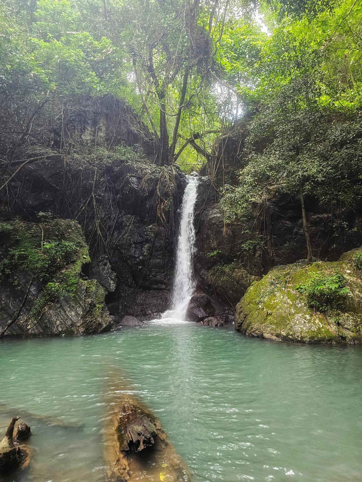 Dk2 Resort - Hidden Natural Beach Spot - Direct Tours & Fast Internet El Nido Esterno foto